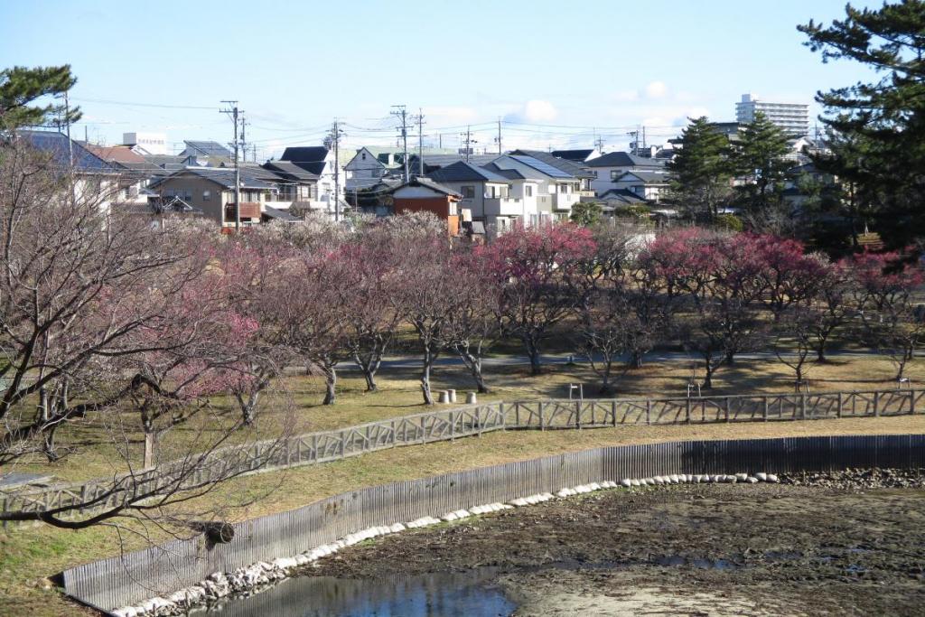 全景1