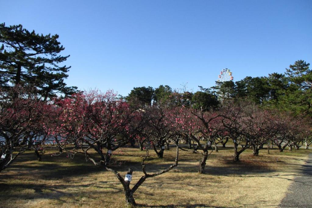 全景2