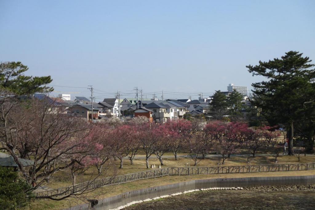 全景1
