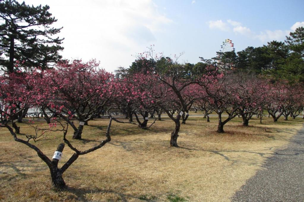 全景2