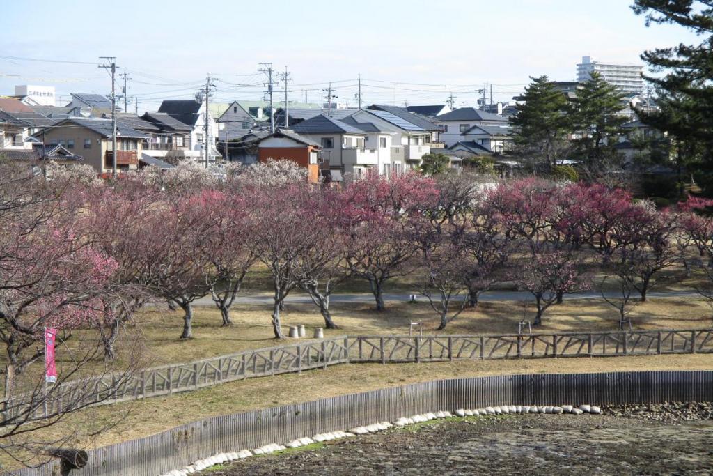 全景1