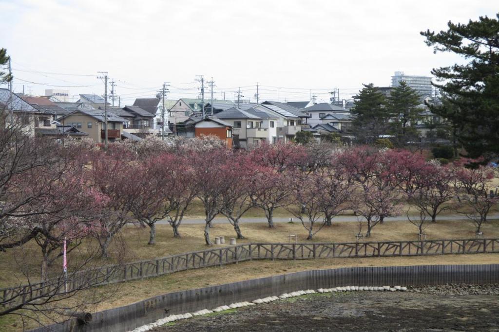全景1
