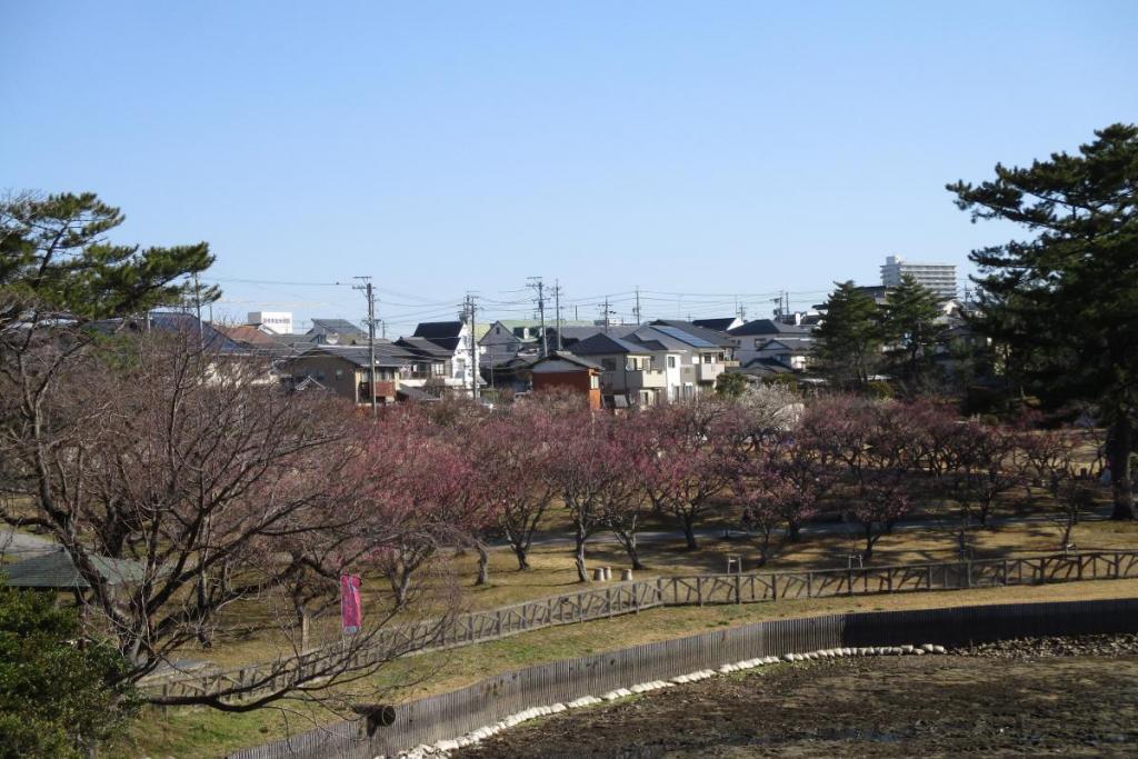 全景1