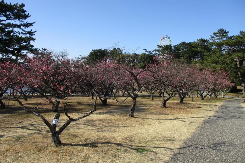 全景2