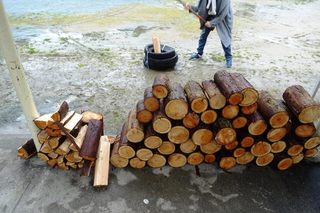 前回間伐した木を使って薪割り体験を行います！
