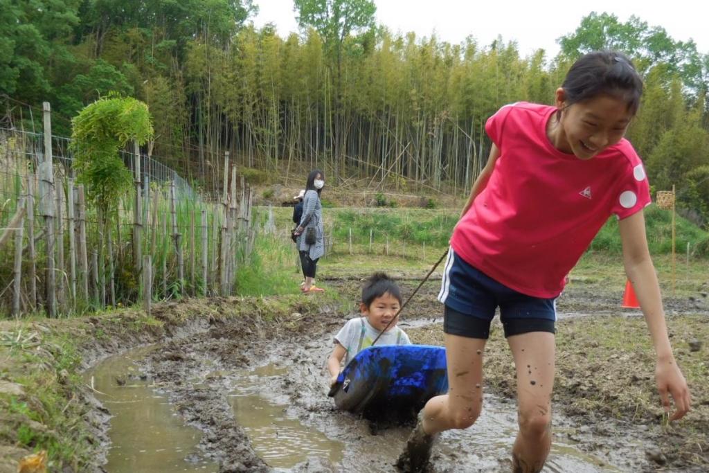 実にパワフルですね