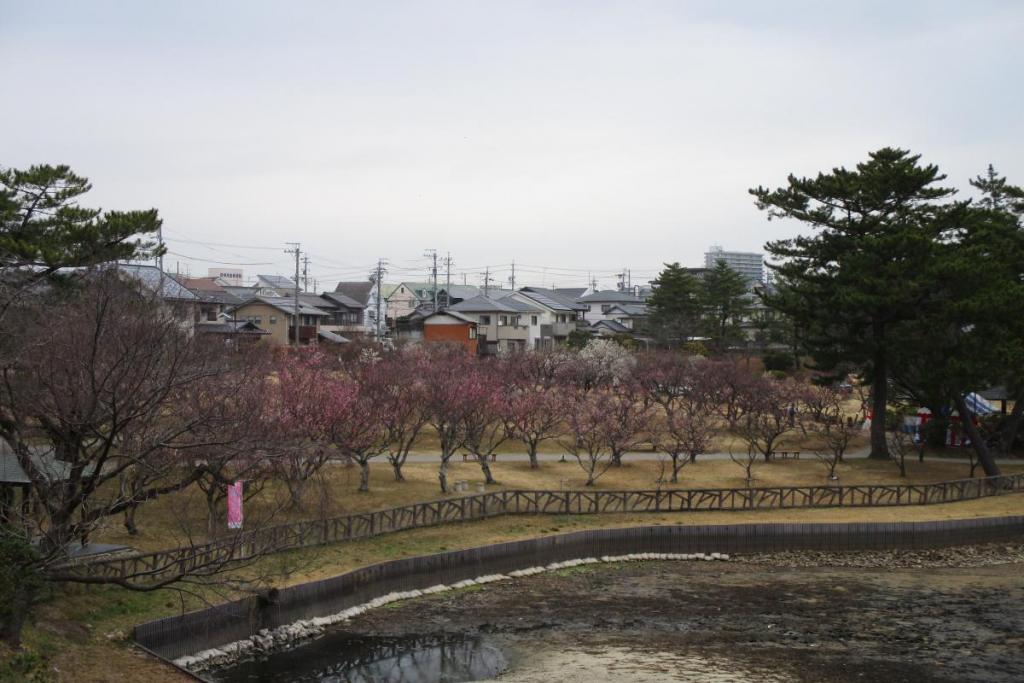 全景1