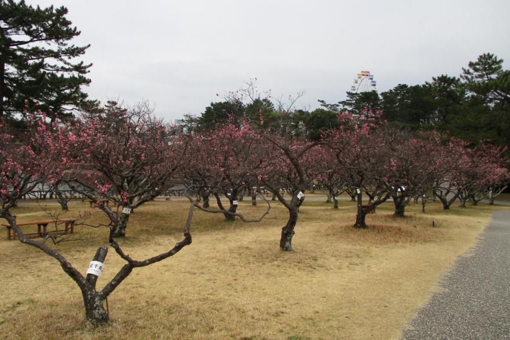 全景2