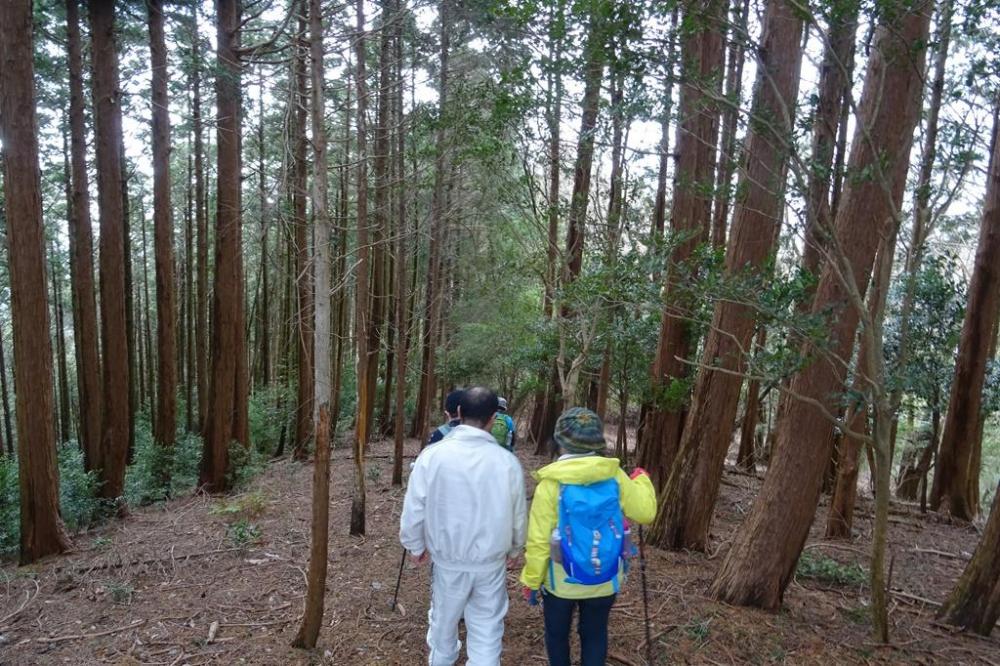 山頂の尾根道は北風が強く寒い