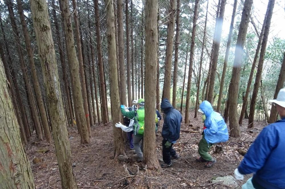 雨、急きょ下山