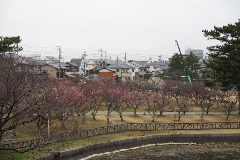 全景1