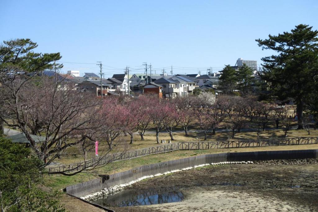 全景1