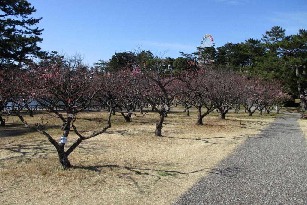 全景2