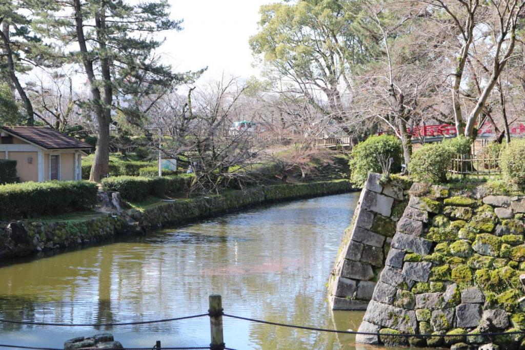 龍城堀の桜