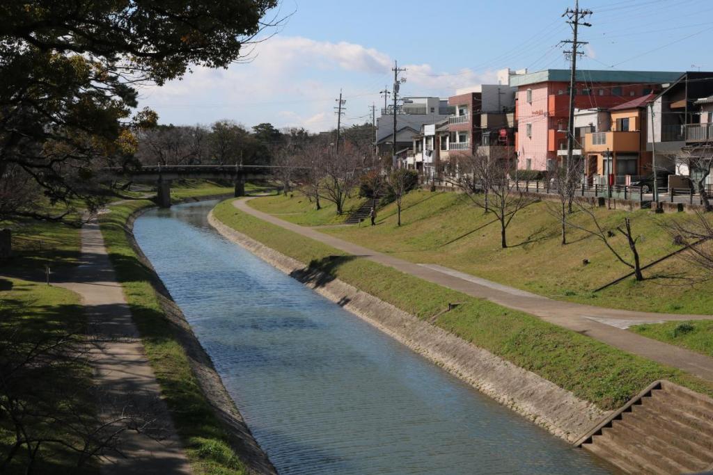 伊賀川の桜