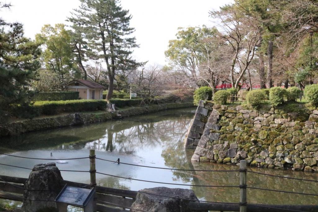 龍城堀の桜