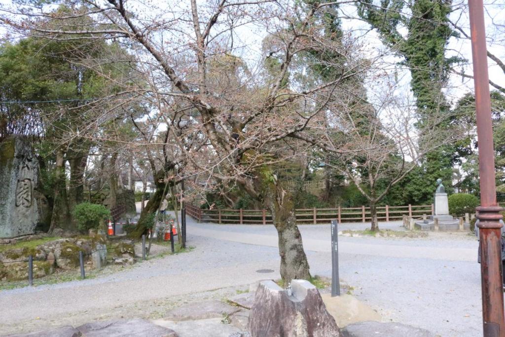 元康像近くの桜