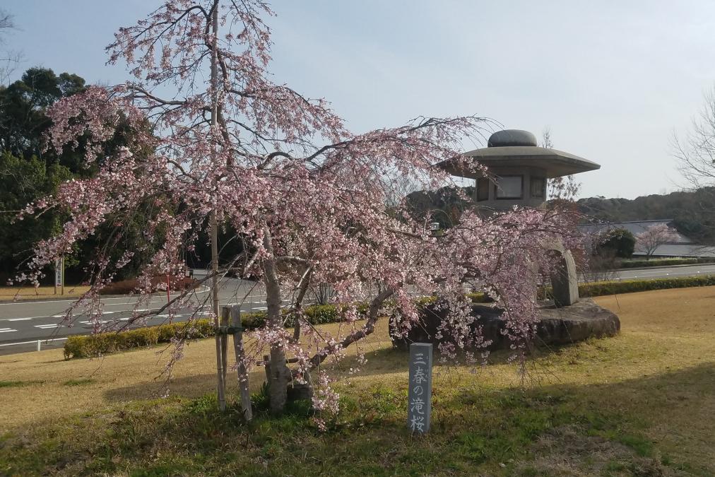 三春の滝