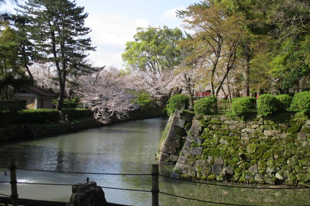 龍城堀の桜