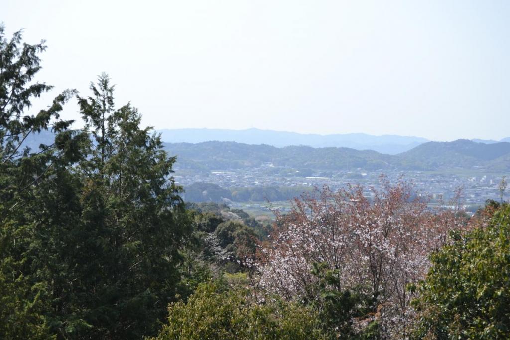 應山居からの風景