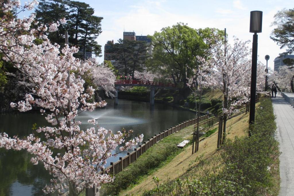 龍城堀の桜