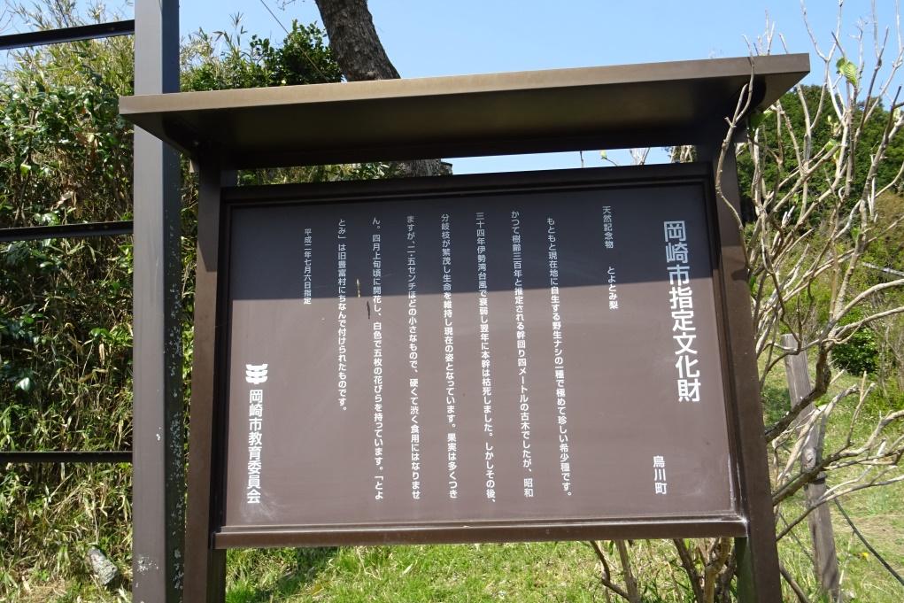 トヨトミ梨は岡崎市の天然記念物