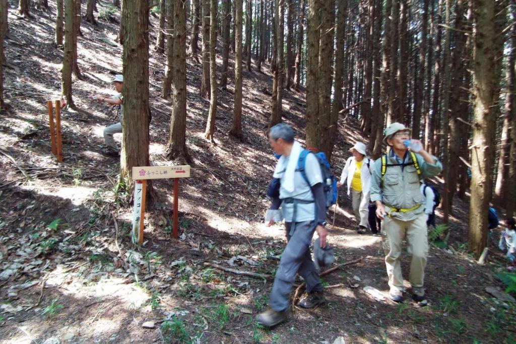 ふっこし峠に到着！風がよく通ることから風越峠と呼ばれていたようです