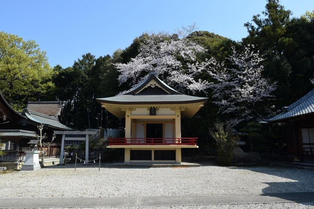 境内の桜もまだ満開のようです