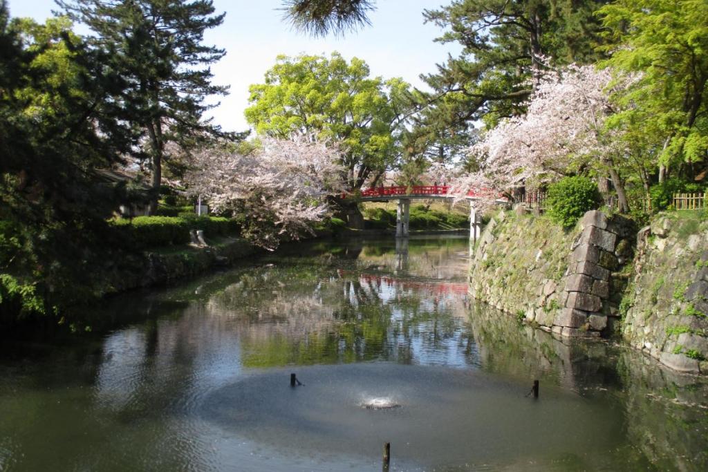 龍城堀の桜