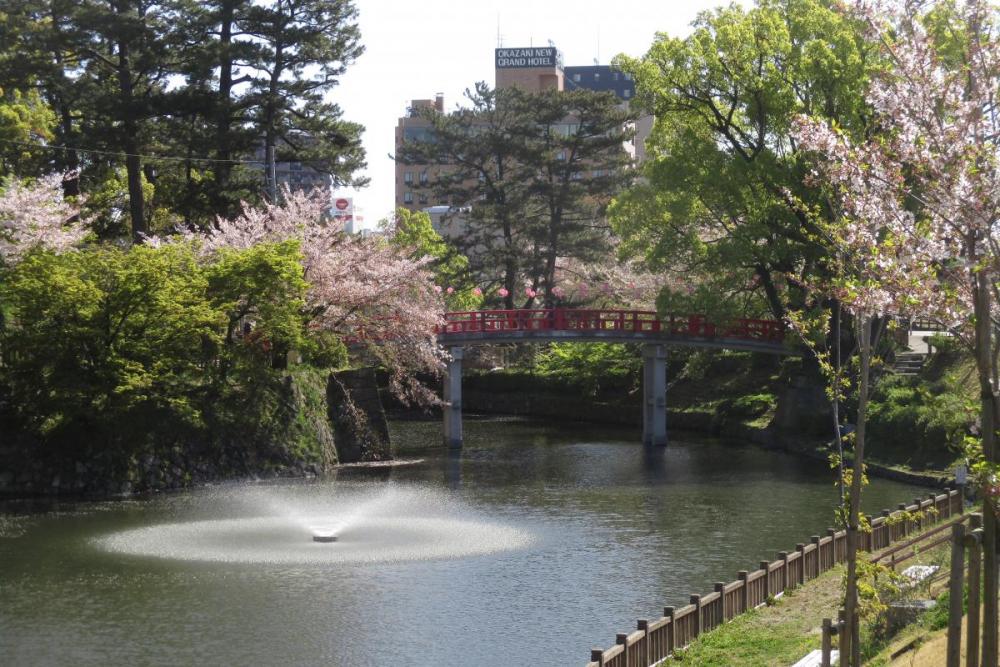 龍城堀の桜