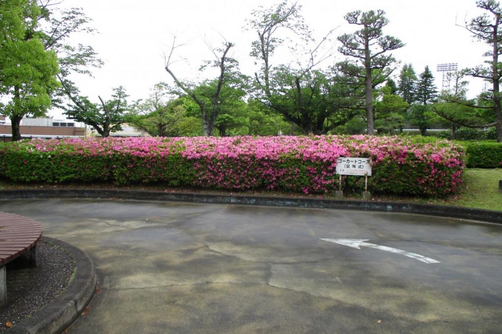 ツツジ　全体