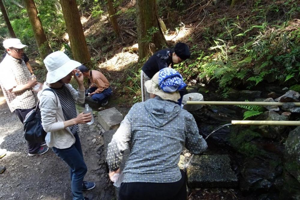 水量も安定しています