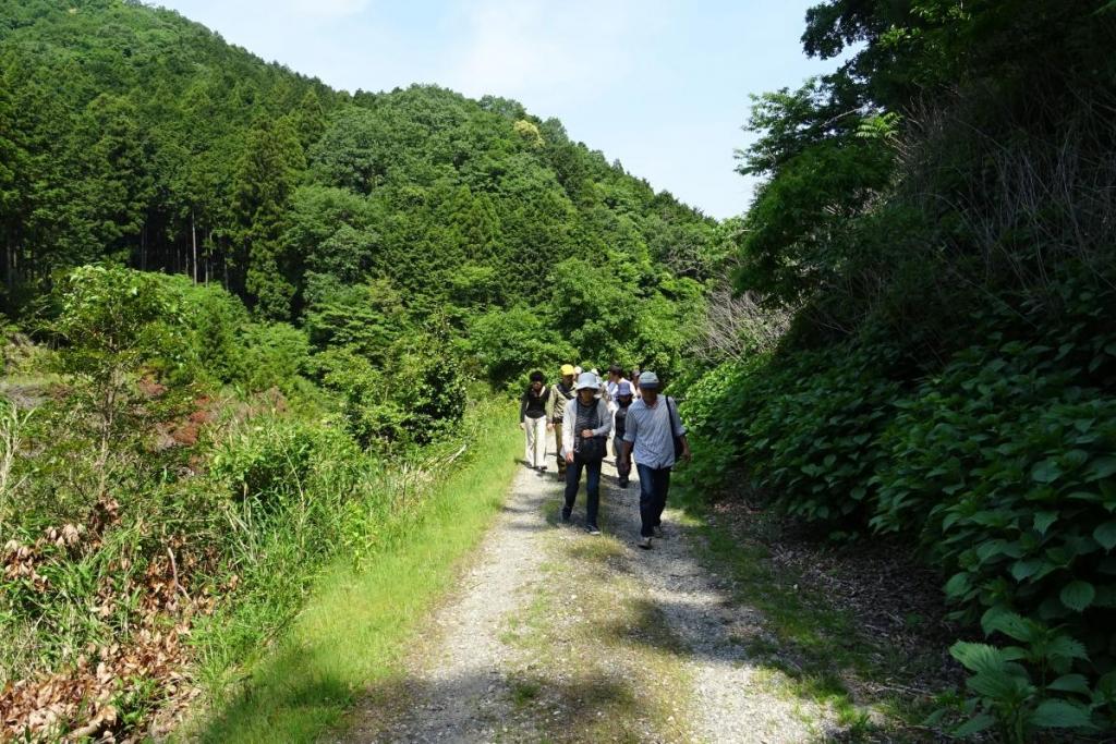 しばし登山道を歩きます