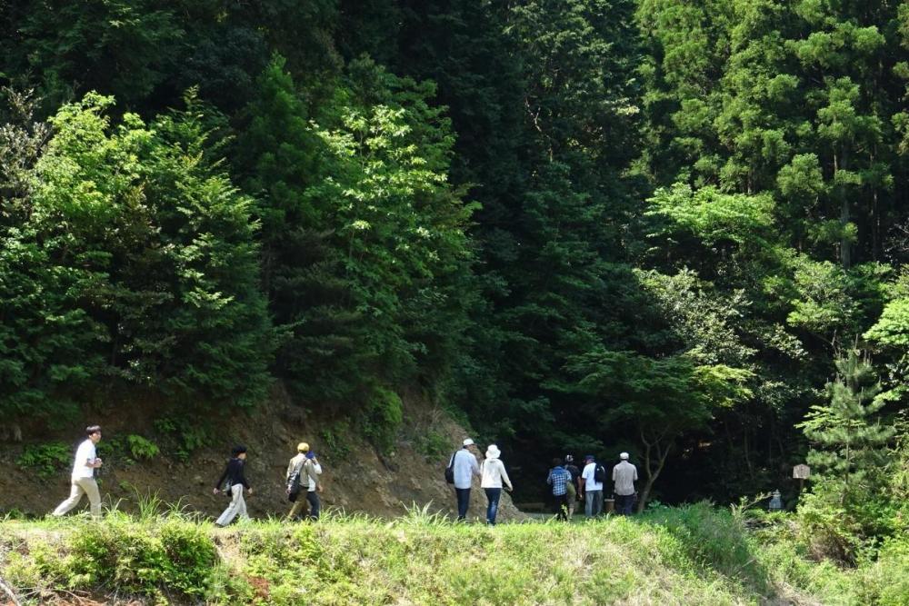 沢沿いに歩きます