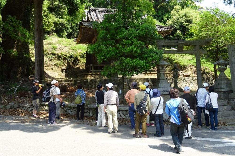 歴史ある白鬚八柱神社