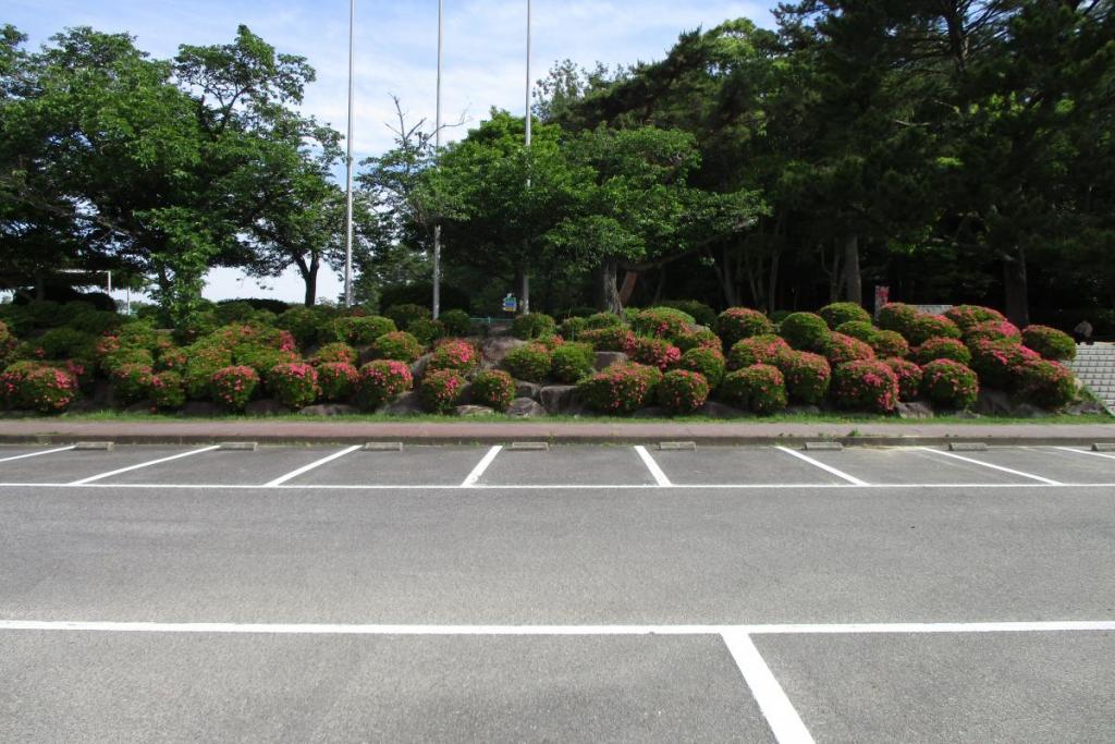 第一駐車場国旗掲揚塔付近　１