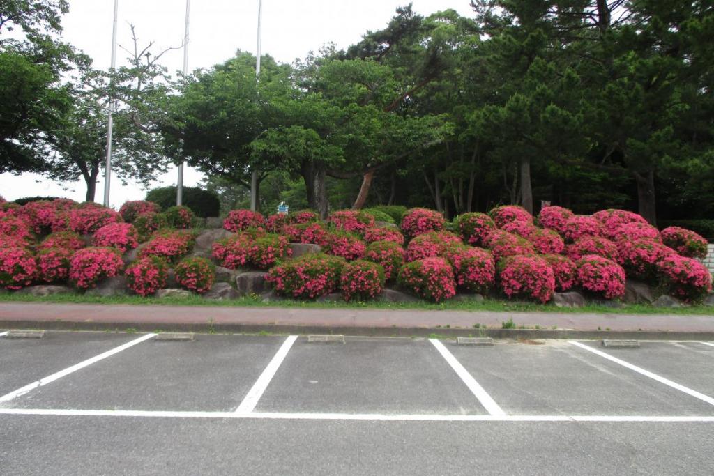 第一駐車場国旗掲揚塔付近　