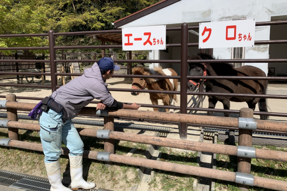 東公園動物園 飼育員 松井さん