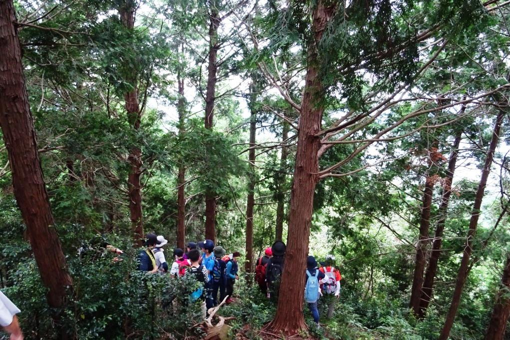 どんどん山道を進んでいきます！