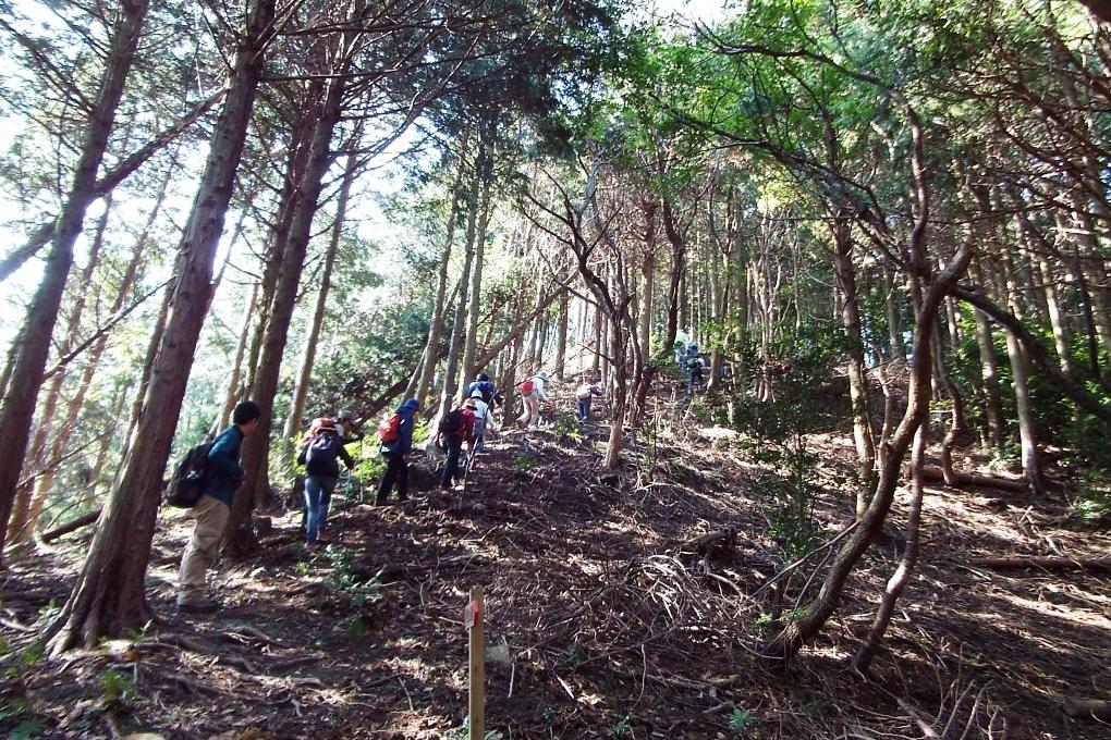 山歩きの様子