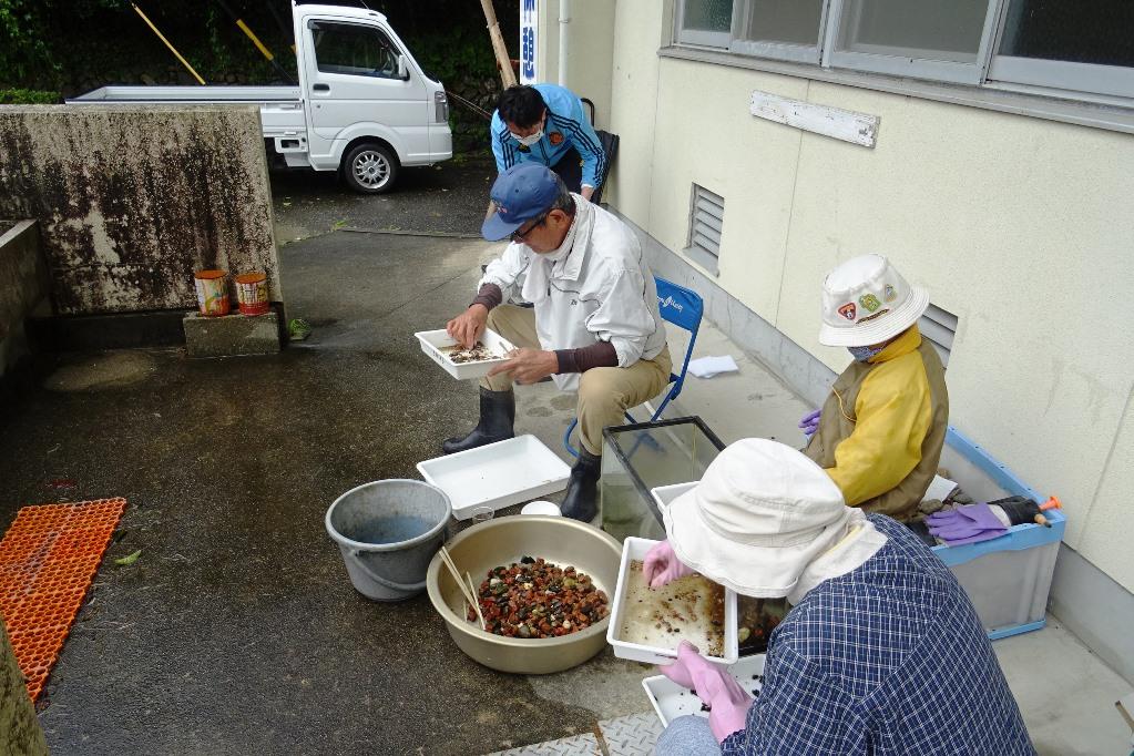 いよいよ仕分けの開始です！