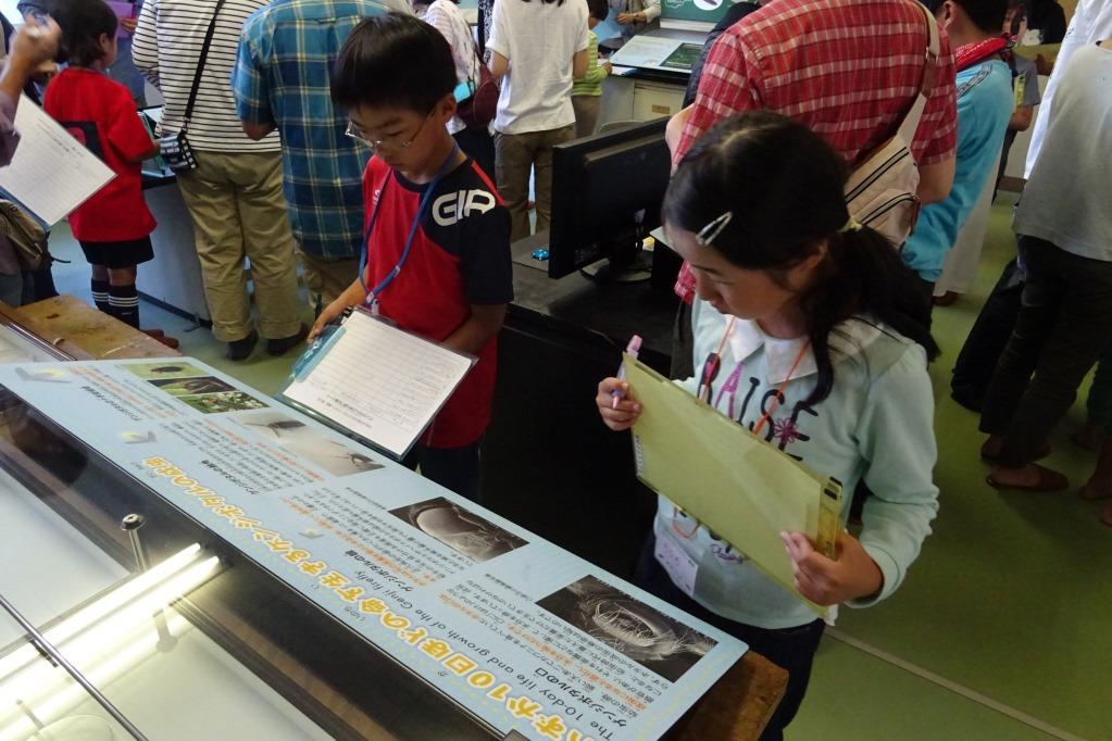 展示物を調べながら、答えを見つけていきます