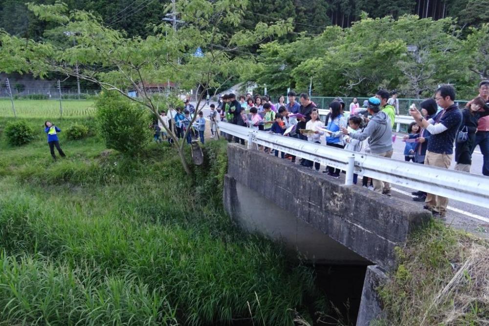 まずはホタル学校のすぐ上の橋から