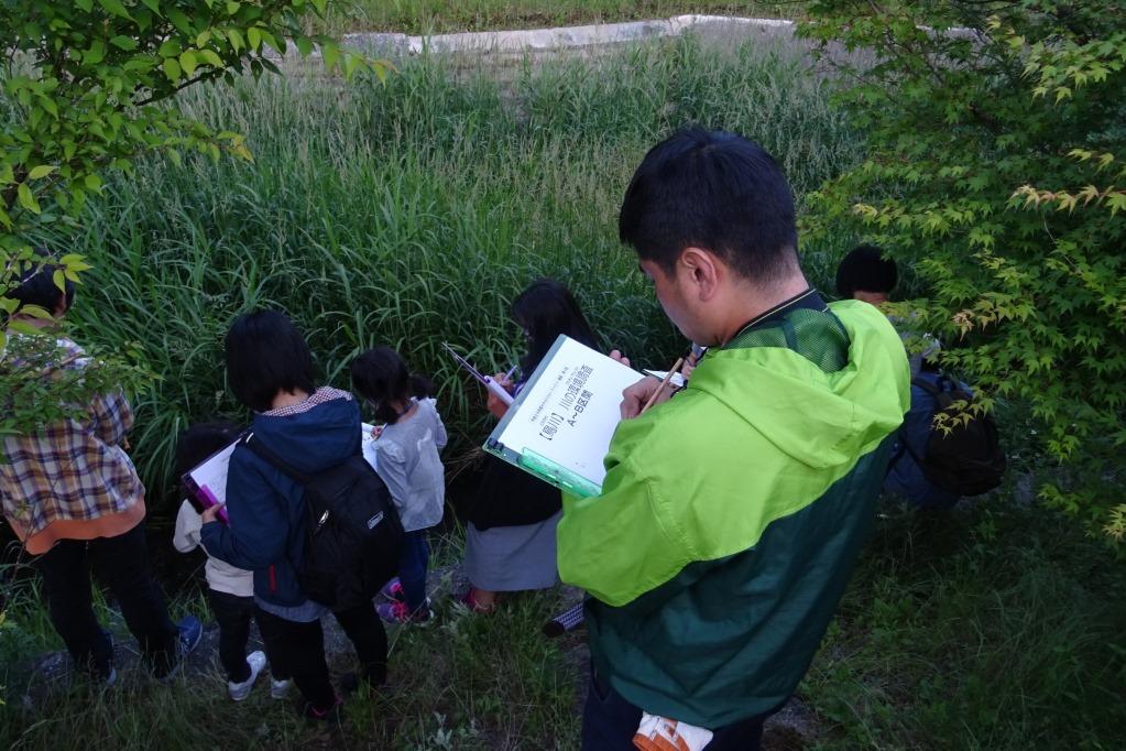 川底の様子や周辺の環境もしっかりメモします