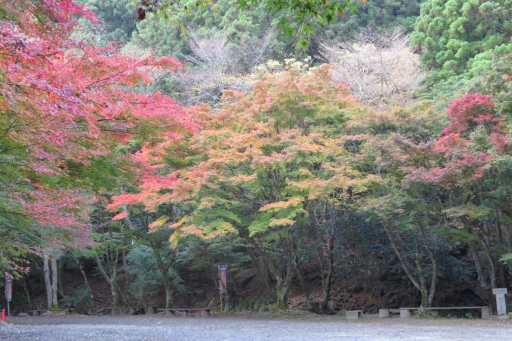 花の木広場