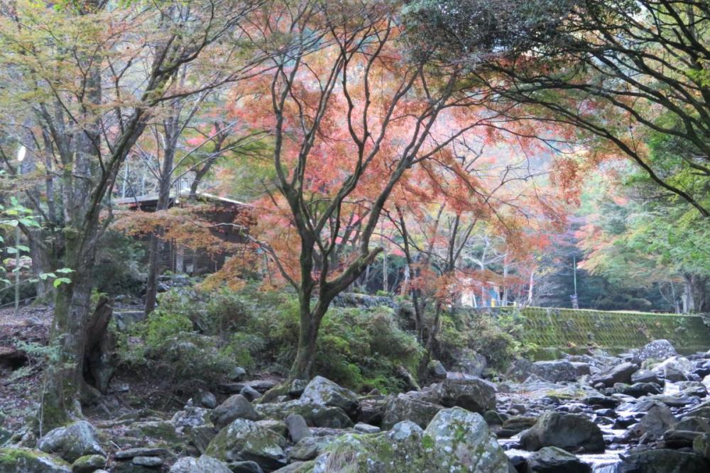 年のくらがり渓谷紅葉情報はこちら 新着情報 岡崎おでかけナビ 岡崎市観光協会公式サイト