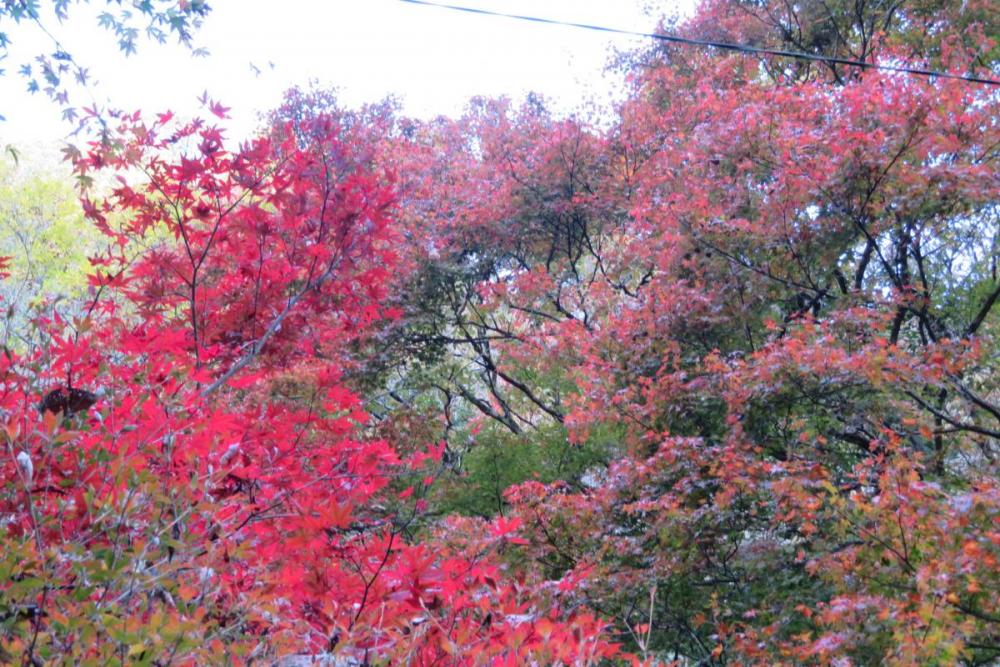 くらがり山荘辺り