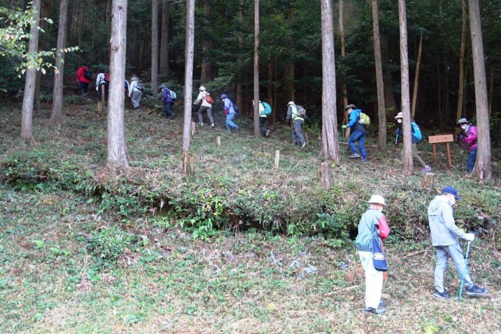 まずはわらべの小径から登り始めます！