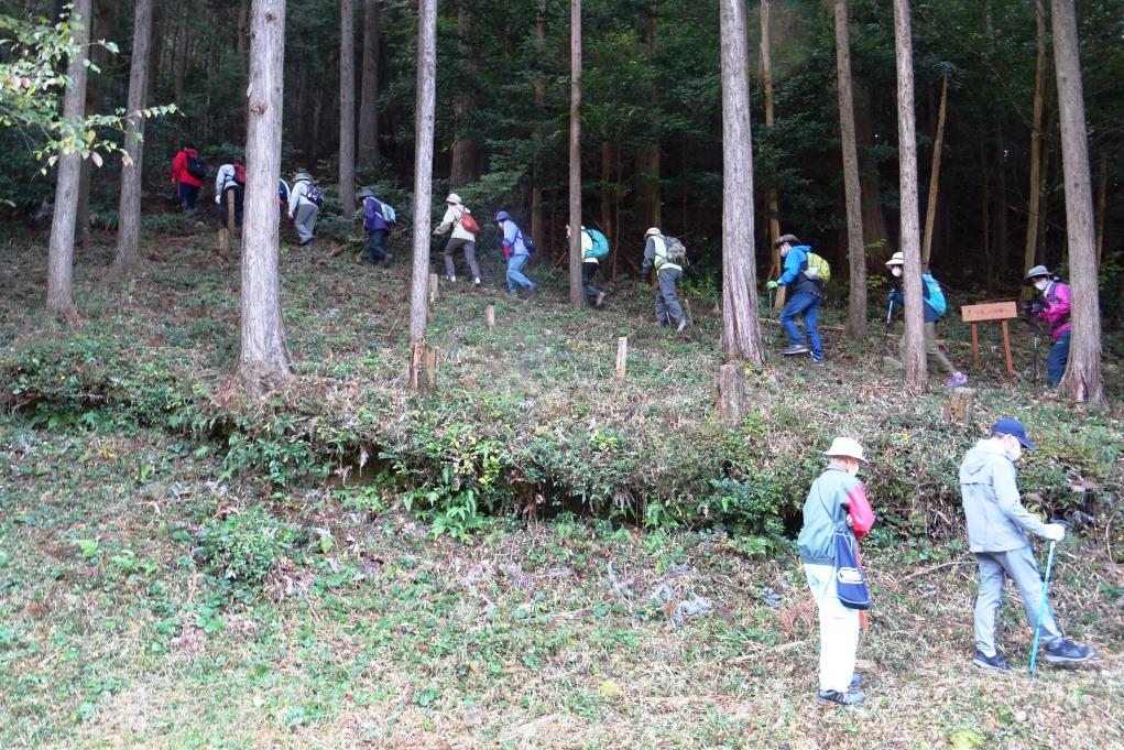 まずはわらべの小径から登り始めます！