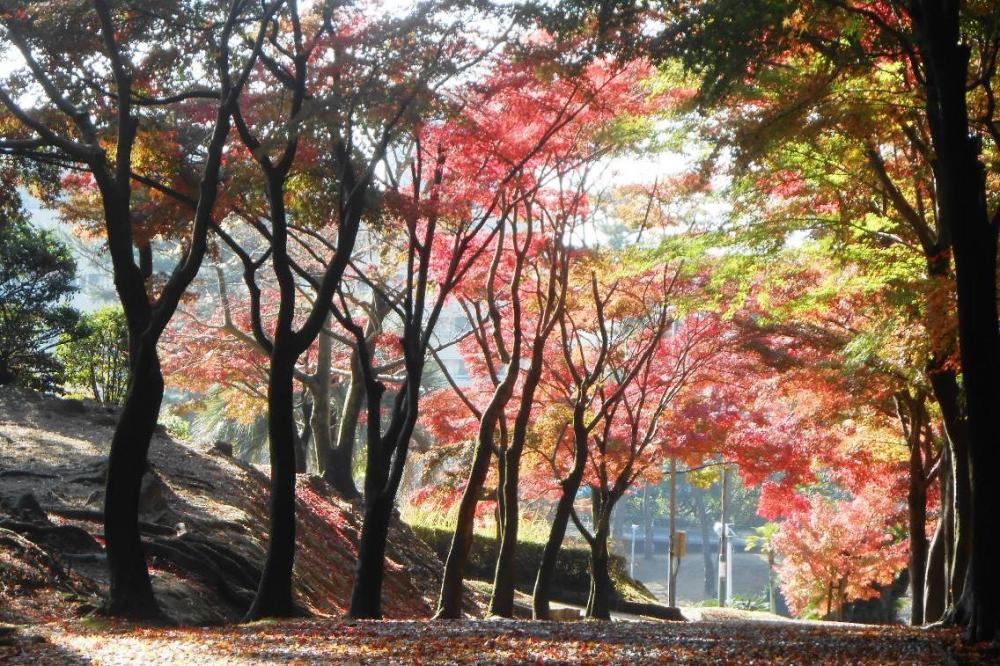 紅葉でできたアーチの下を歩くのは